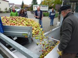 Obsternte Und Maischen 2012 26